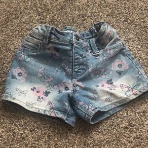 Sonoma Butterfly/Floral Shorts